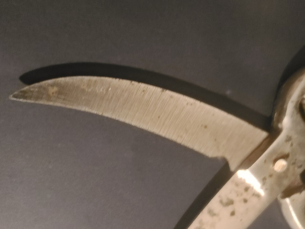 Vintage Poultry Chicken Shears Scissors Kitchen Tool Spring Opening UNMARKED