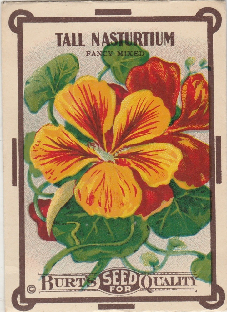 Two 100 Year Old Seed Packets-Empty-William Burt-Dalton-New York-NY