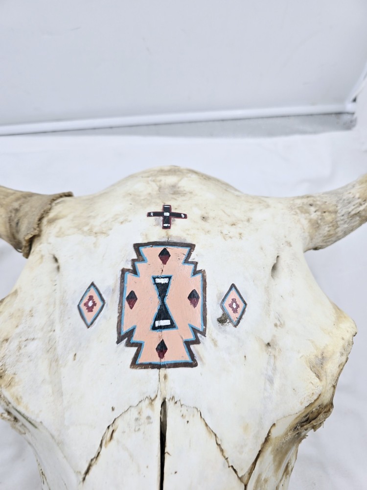 Steer Skull 19x18"