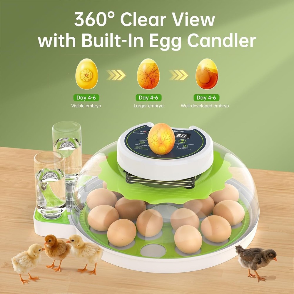 Egg Incubator with Automatic Egg Turning and Humidity Control, 18 Eggs Incuba...