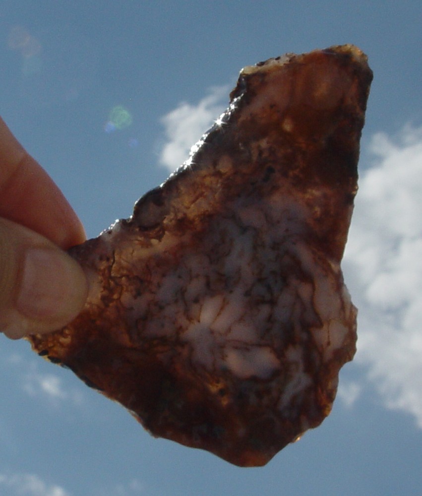 Gold Moss Agate Lapidary Slab 1487