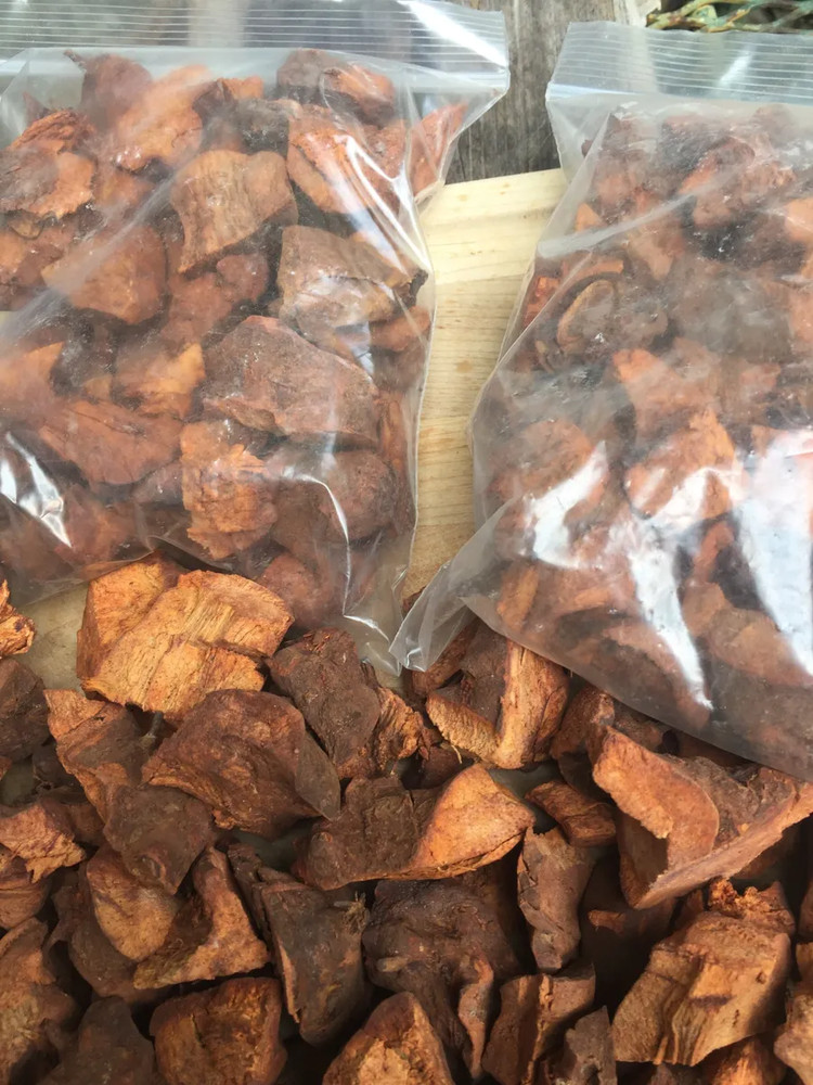 Jamaican wildcrafted Chaney root