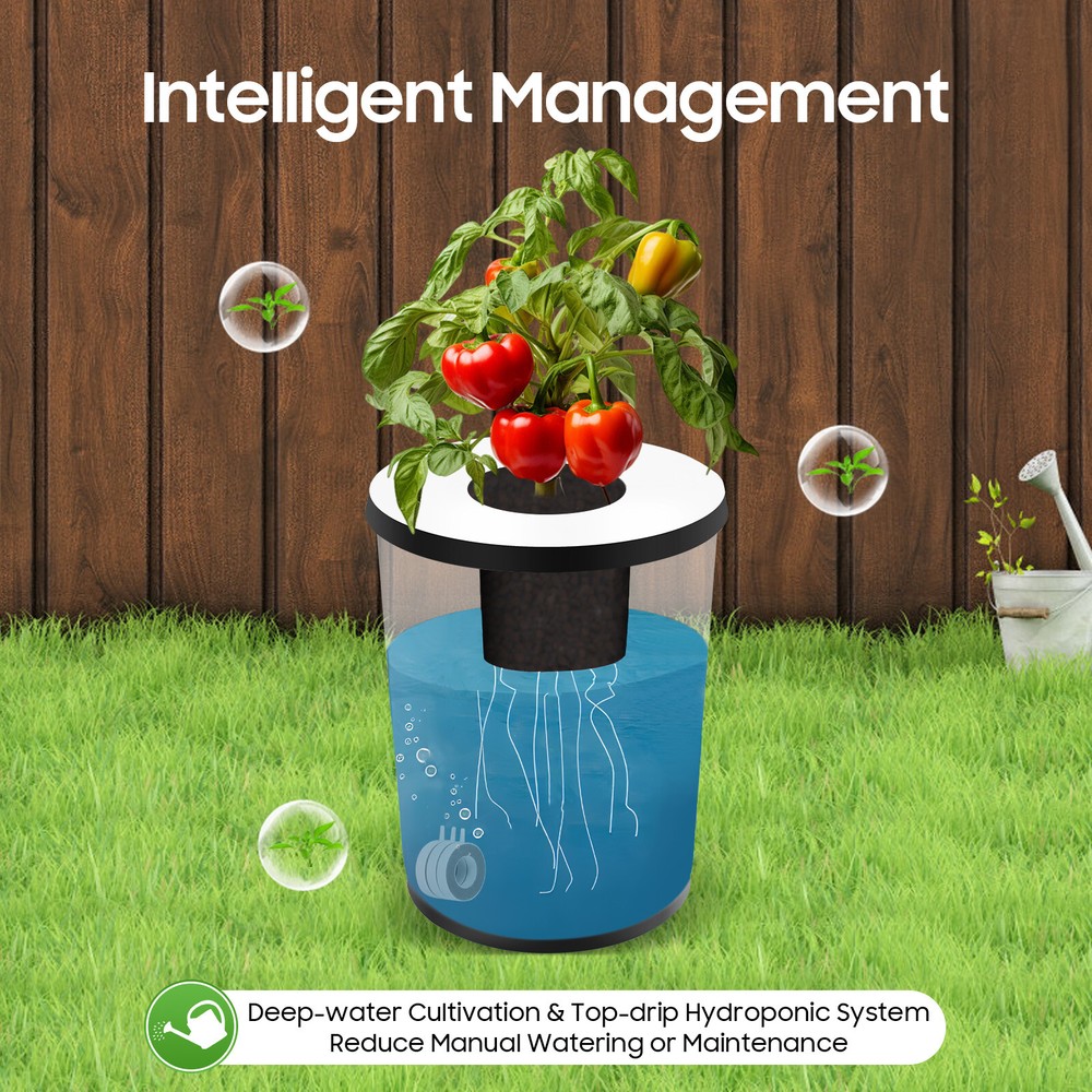 DWC 5 Gallon 6 Buckets Hydroponics Growing System Recirculating Growing Kit New
