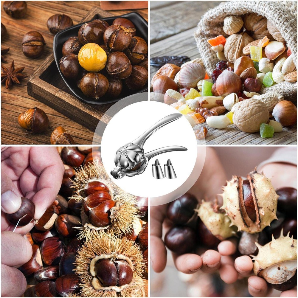 Chestnut Cutter Tool Kitchen Manual Nut Cracker Walnut Cutter Tool nearby