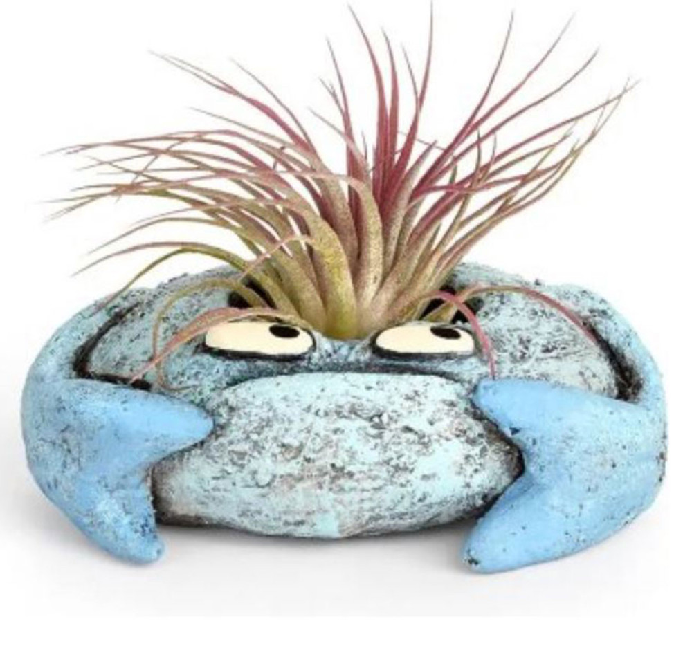 Blobhouse Krusty the Crab Planter