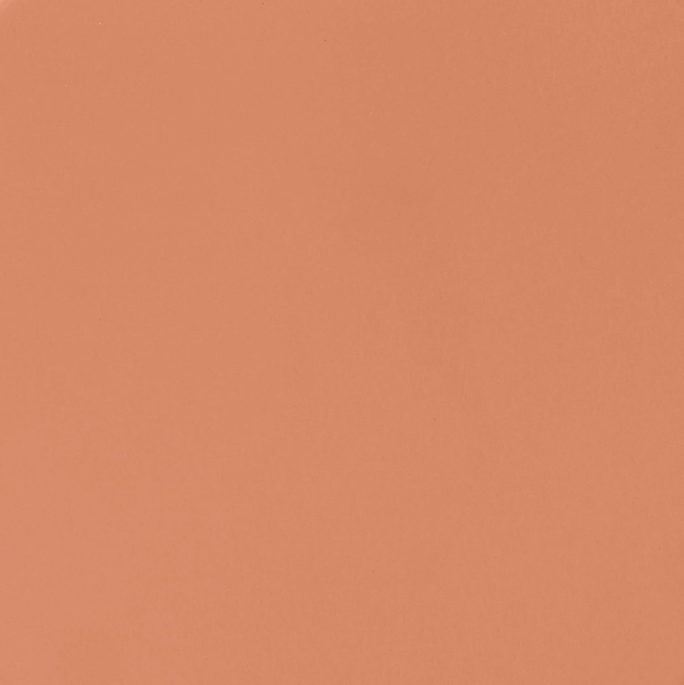 Modern Salmon Finish Side Table - Anika Collection by
