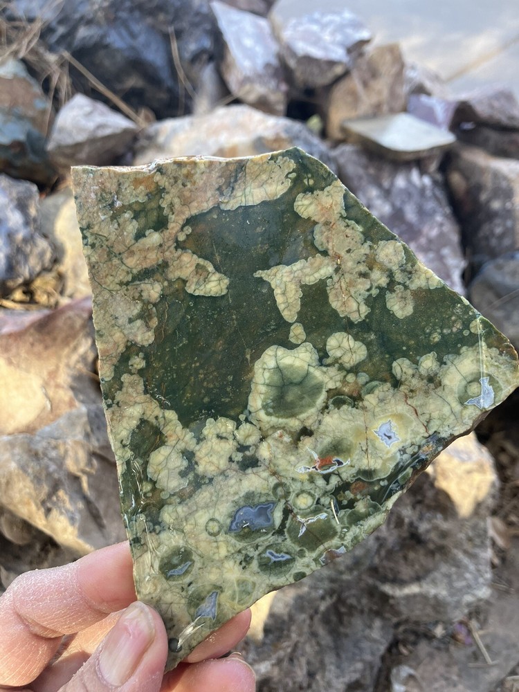 Rainforest Jasper Slab