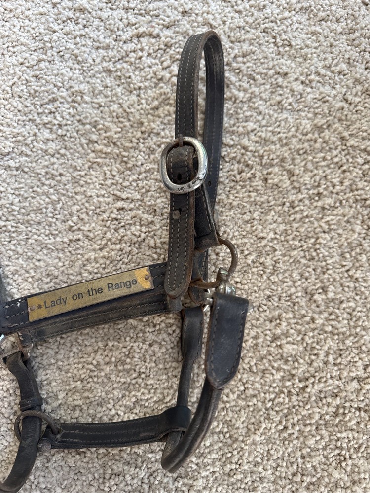 BROKEN Leathed Horse Size Halter - Use For Hardware