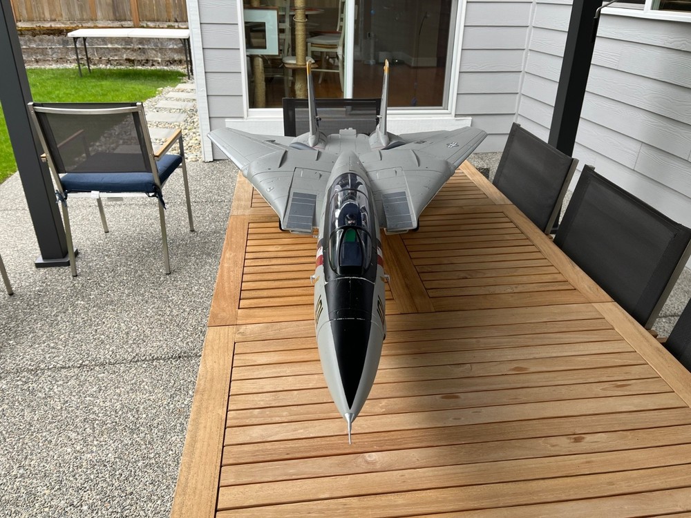 UPGRADED Freewing F-14 80mm edf