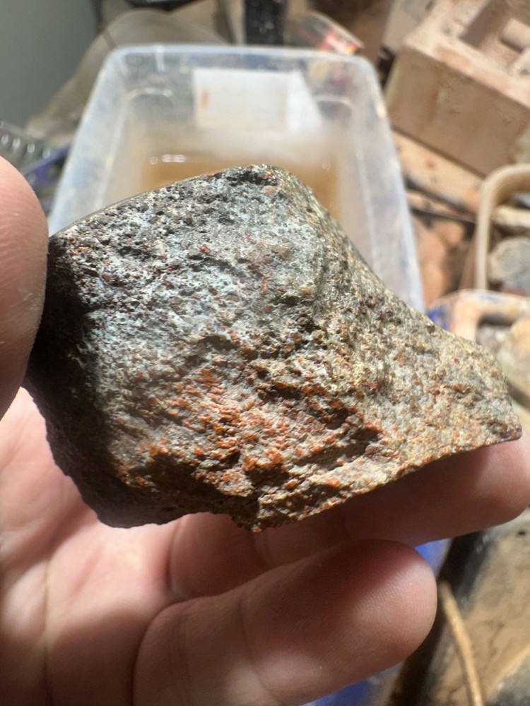 Dinosaur bone rough polished specimen