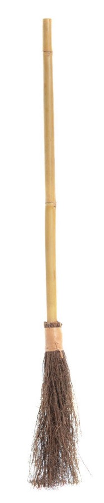 Witch Broom