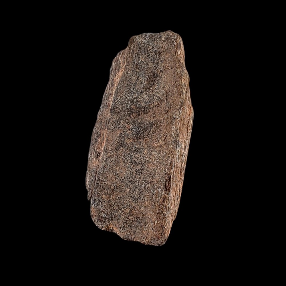 Jurassic Dinosaur Fossil Bone from Morrison Formation Includes Display