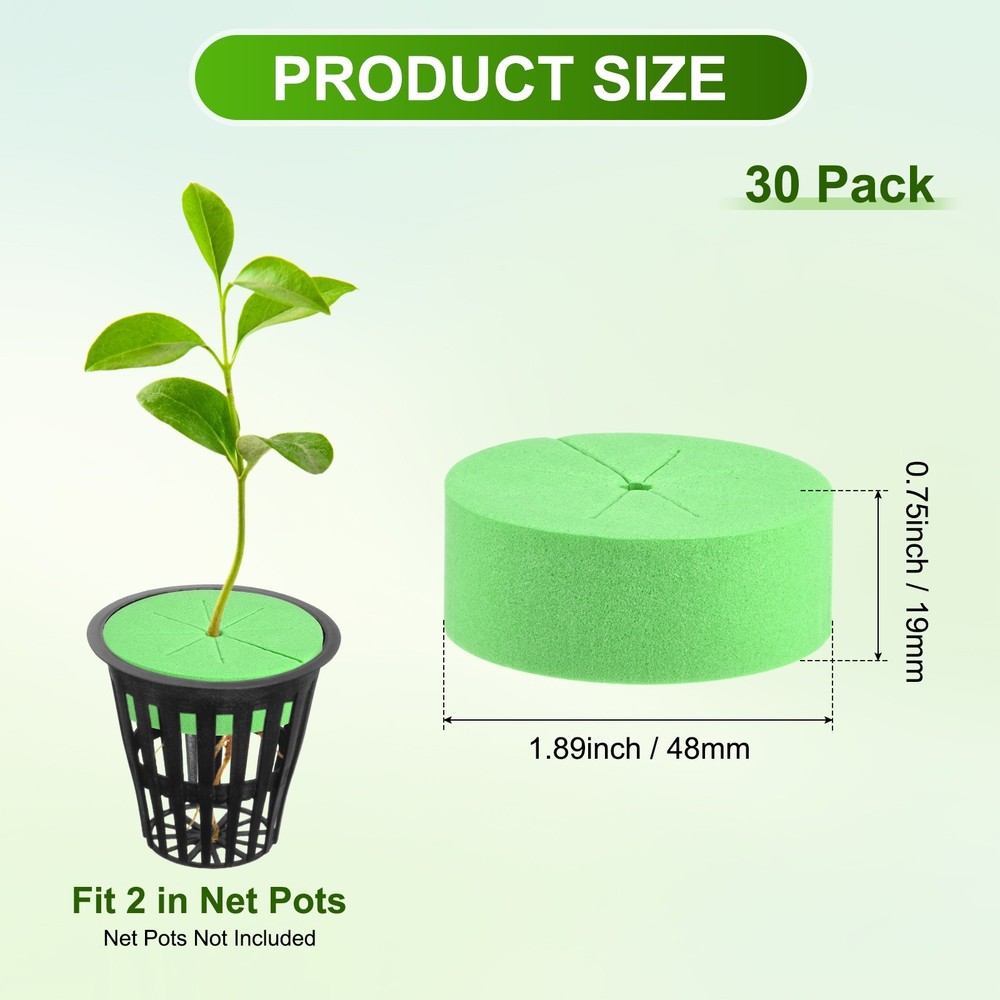 30-Pack Cloning Collars Inserts, Hydroponics Sponge Systems Cloning [Green]