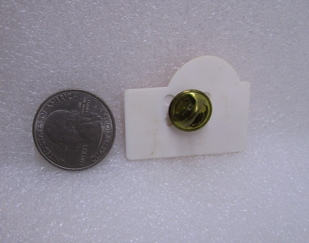 Step Up Clark County Plastic Pin