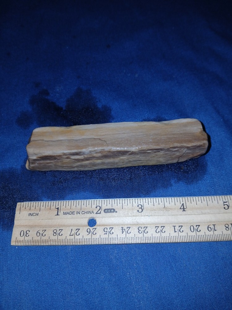 4 oz Texas Petrified Wood