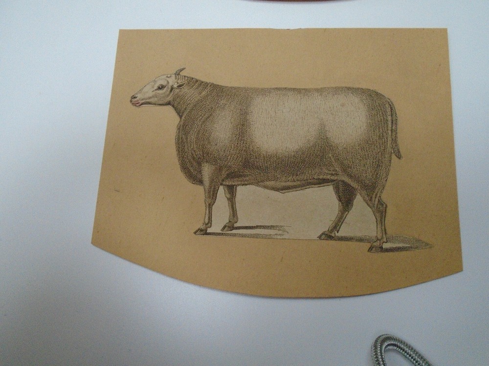 VICTORIAN SCRAP ON CARD SHEEP X2