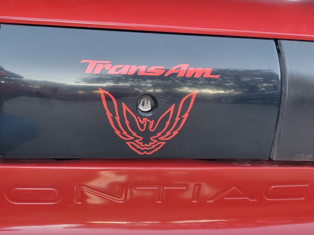 Trans Am Rear Panel Overlay Decal - 93-02 Trans Am
