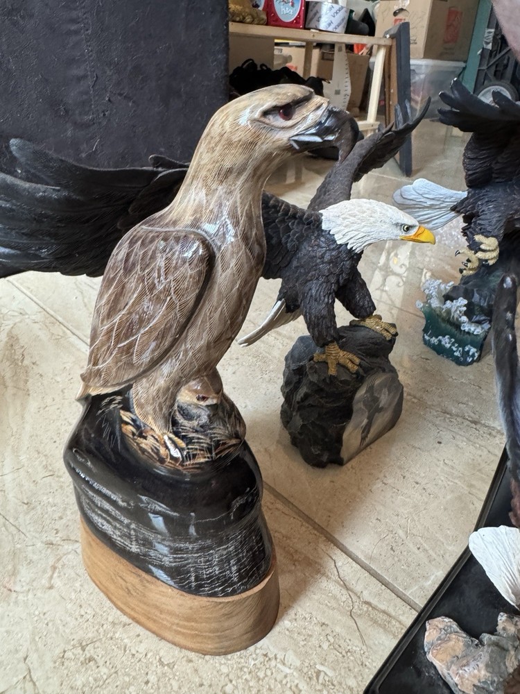 Sets Of 5 Eagles Beautiful Collection