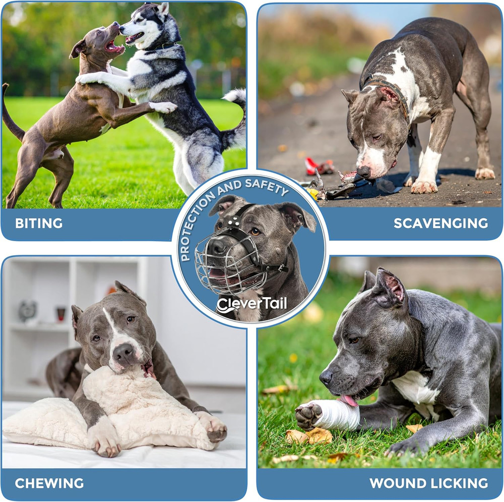 Metal Pitbull Muzzle for Large Sized Dog – Basket Muzzle for Dogs with Adjustabl