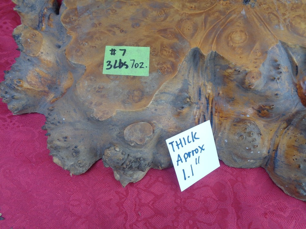 Burlwood Tree Slice #7