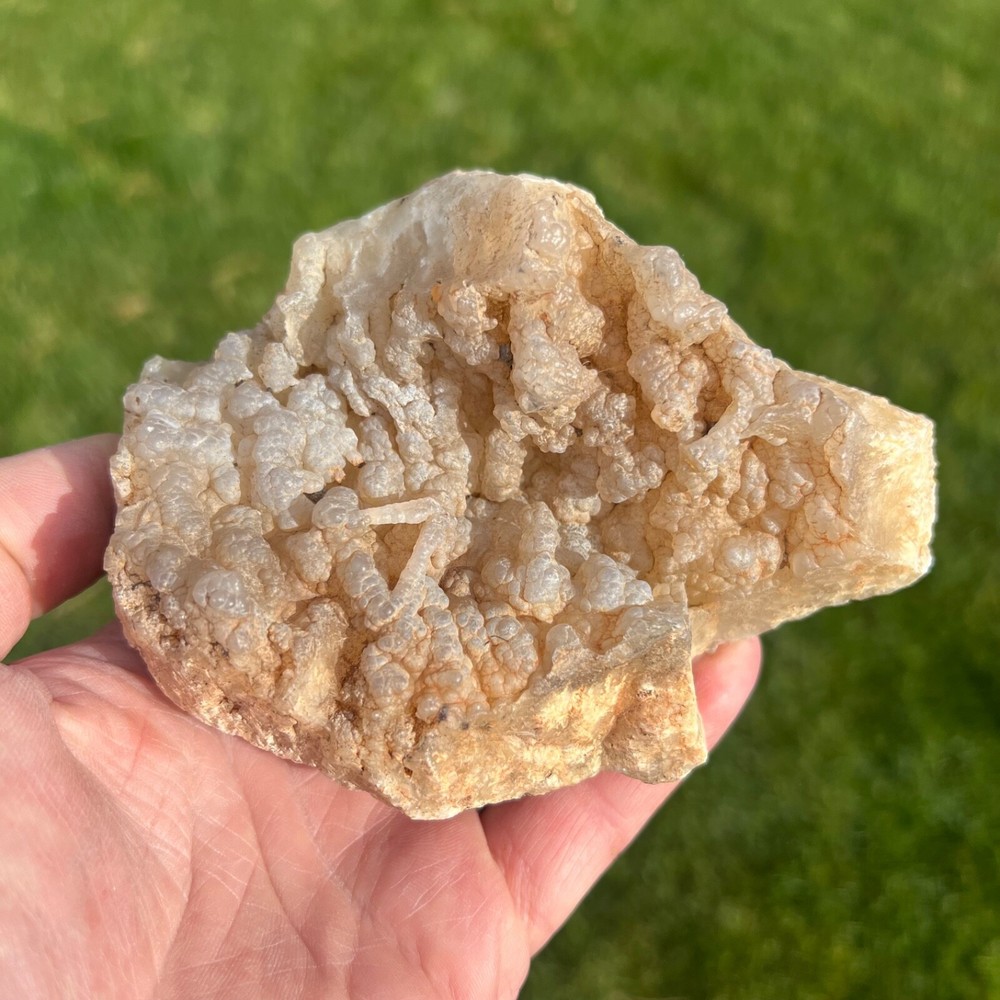 Succor Creek Botryoidal Agate Specimen 658gm (Y2)