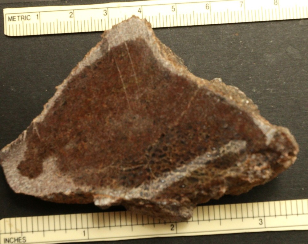 JG Agatized Gem Dinosaur Bone Slab 108.6 grams 011