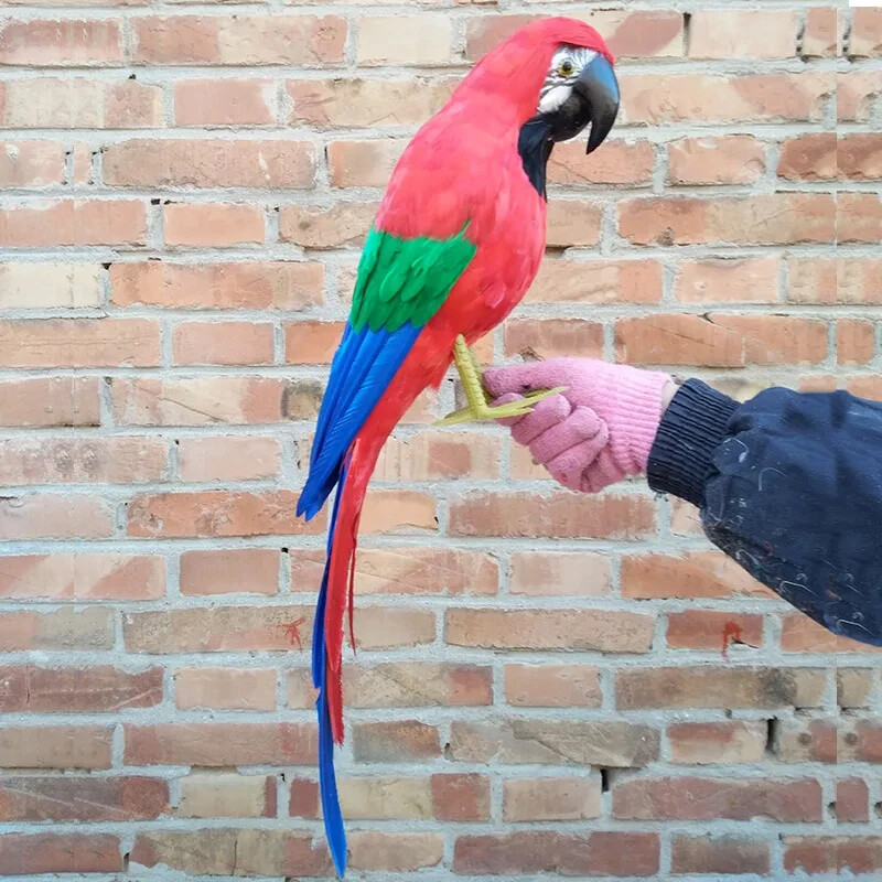 big simulation parrot model foam&feather red parrot bird gift about 60cm