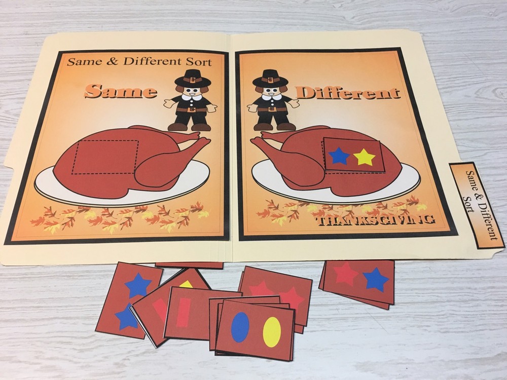 Thanksgiving - File Folder Game - Activity Set - Same & Different Sort