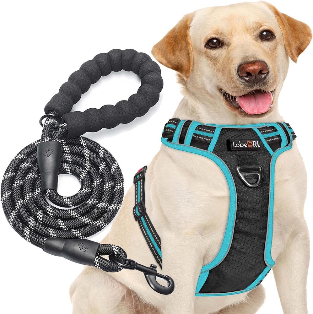 No-pull harness with a complimentary 5-foot heavy-duty leash