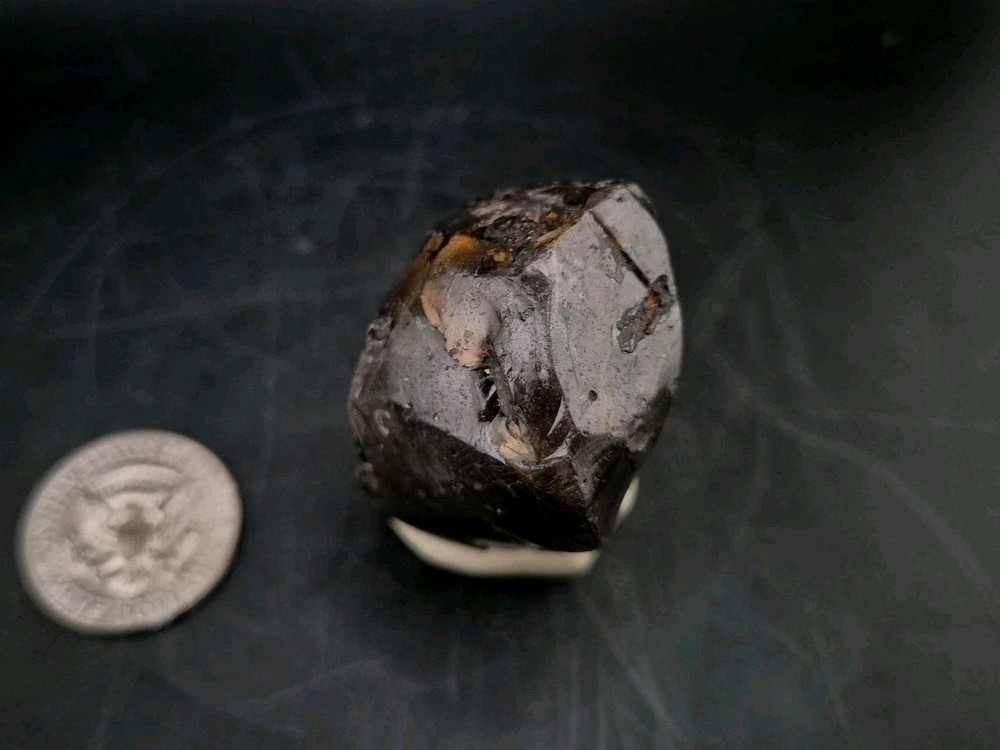 Real Fossil Dinosaur Egg Opalized