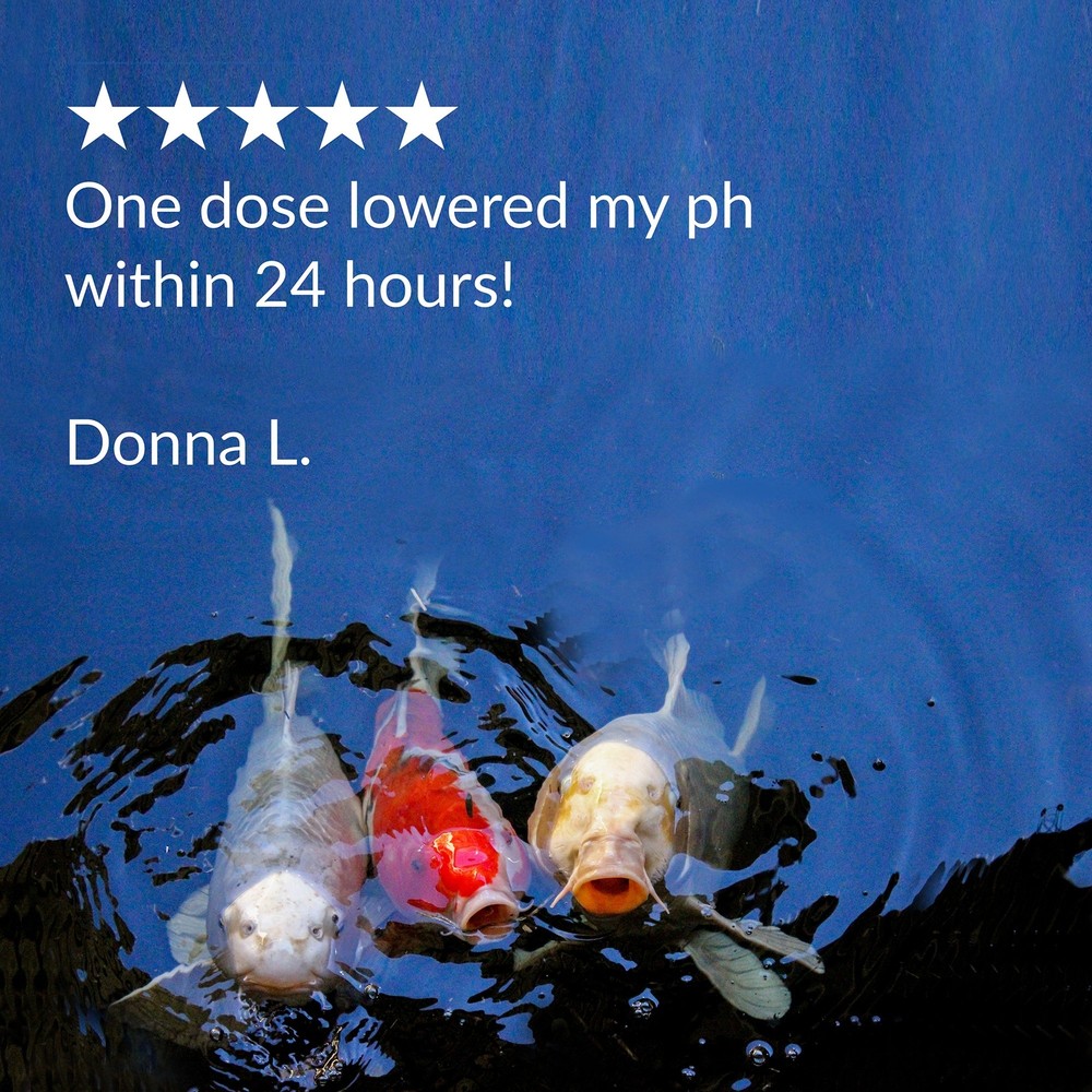 API POND pH DOWN Pond Water pH Reducing Solution 16-Ounce Bottle, White,