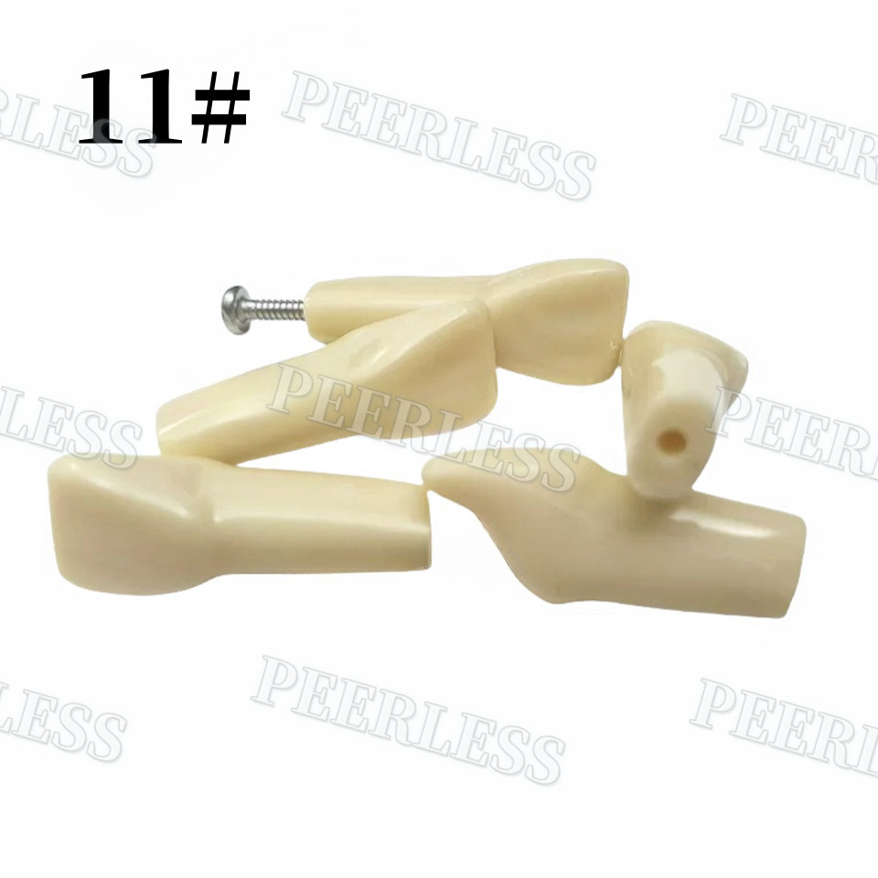 Frasaco AG3 Type Dental Restorative Typodont Model 32Pcs Removable Teeth M8014-2