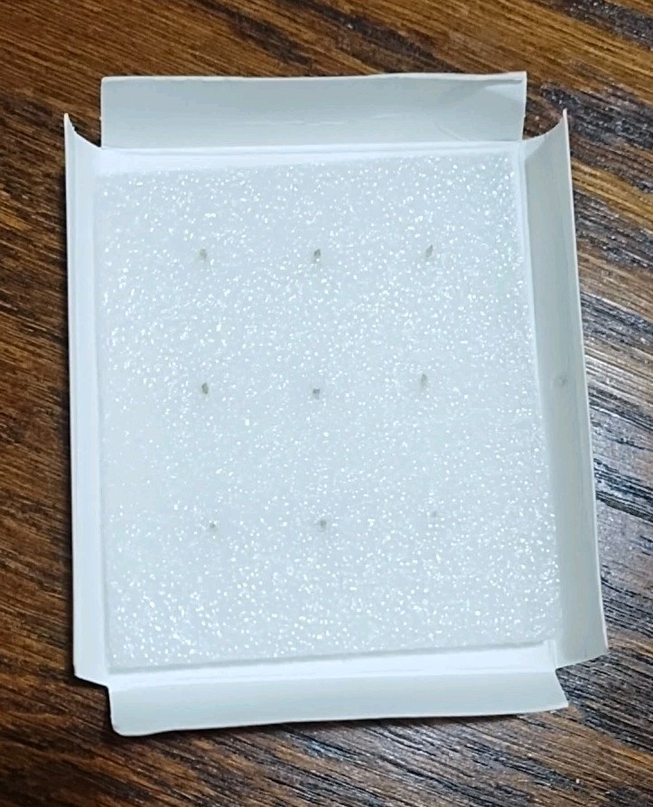 Erin Condren Palm Push Pins