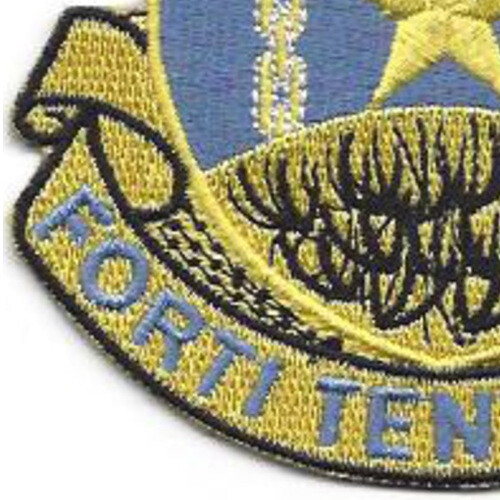 920th Air Base Security Battalion Patch