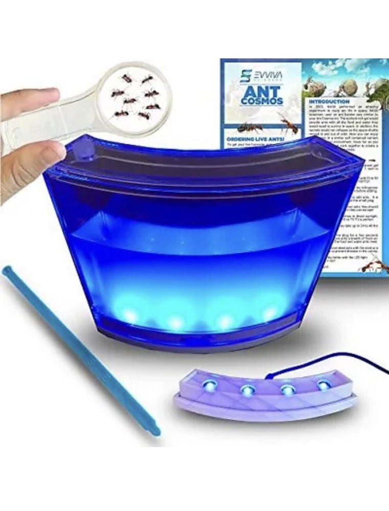 Evviva Sciences Ant Cosmos