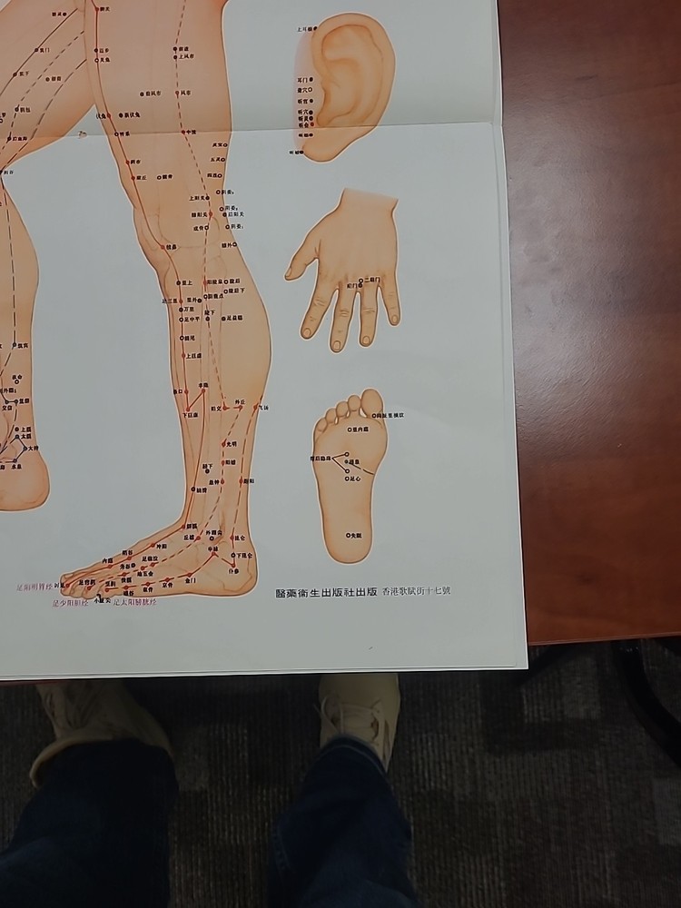 Chinese Acupuncture Point Chart