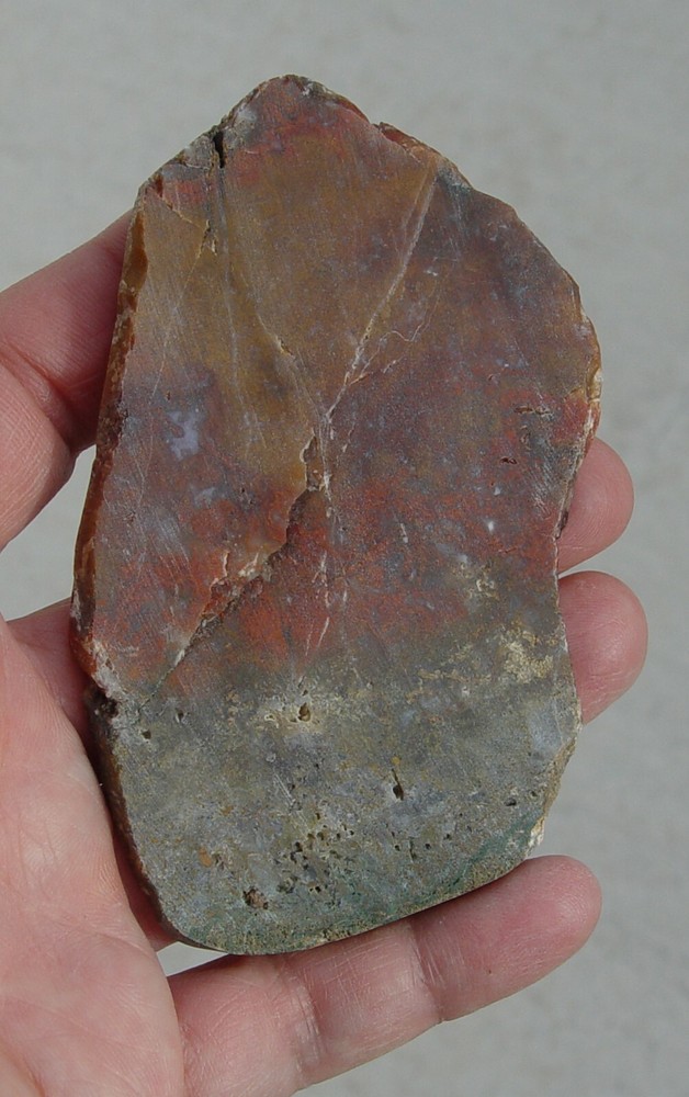 Macaw Agate from Mexico Lapidary Slab T826