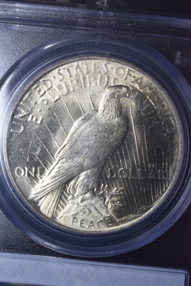 1924 Peace $1 PCGS MS64