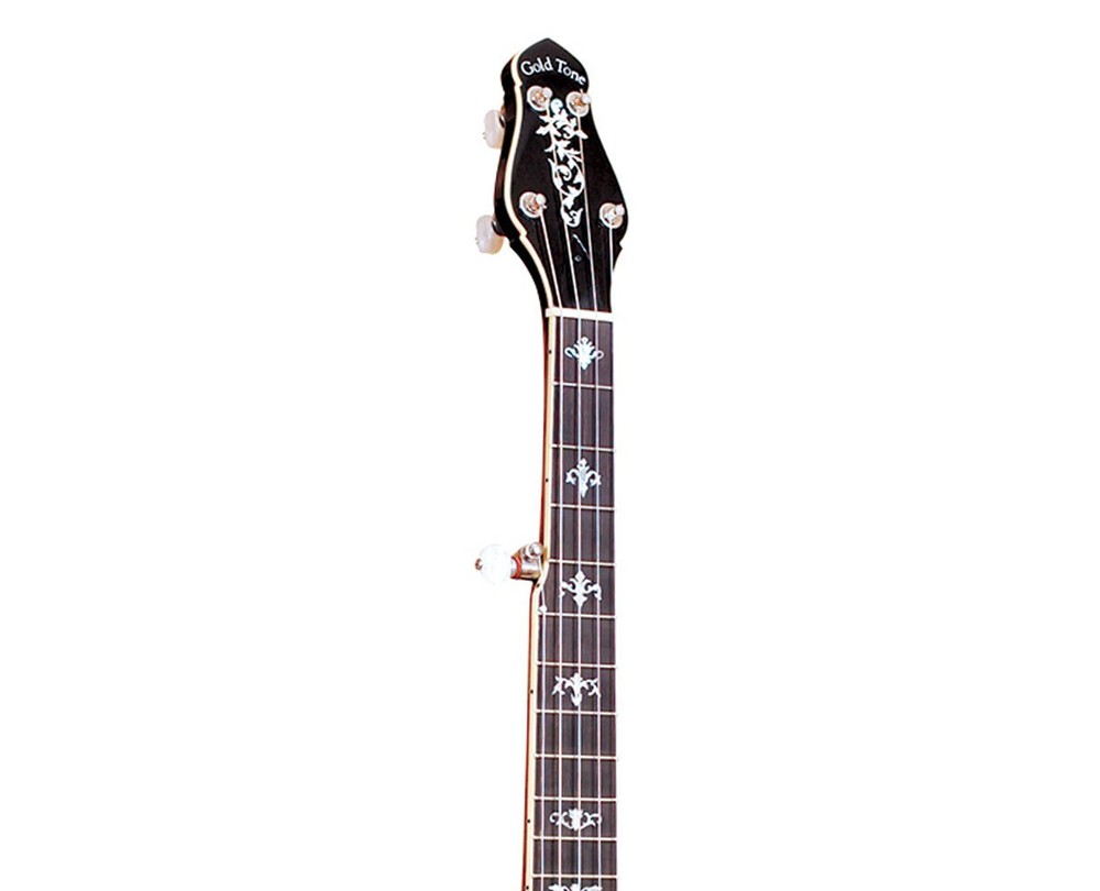 Gold Tone CEB-5 5-String Cello Banjo - Open Box