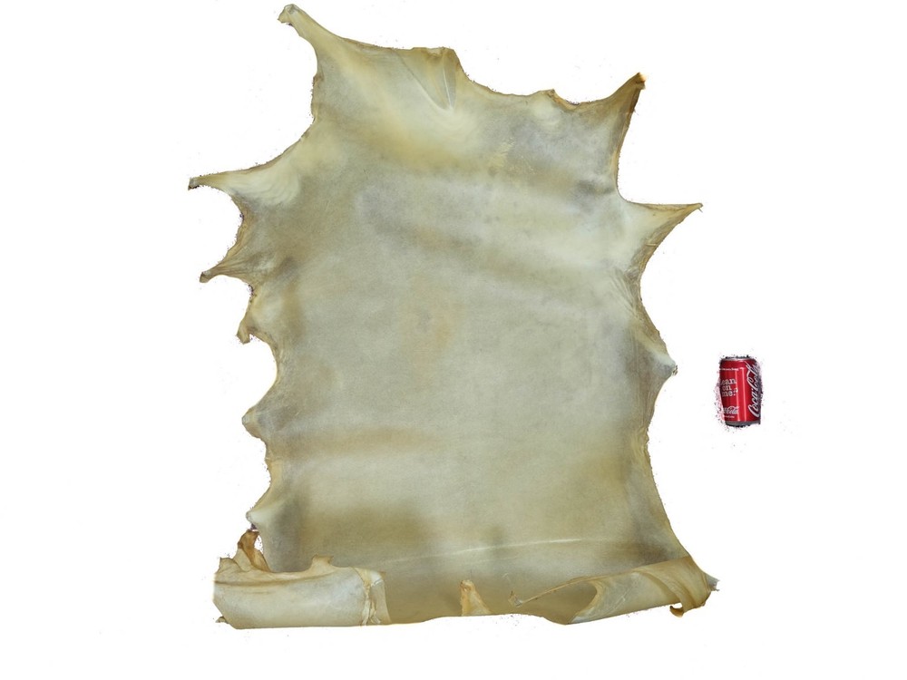 Deer Rawhide: Select Grade: Bleached (55-40-SELB-AS) 9UL8