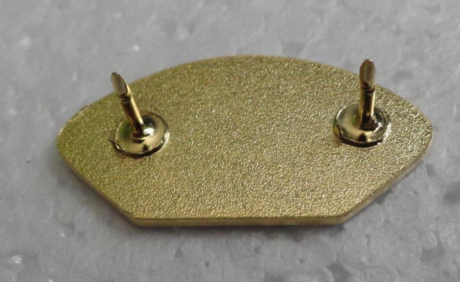 Iraqi Freedom Veteran Hat Pin
