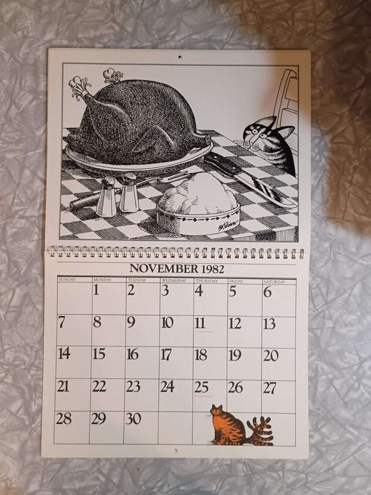 Vintage Cat Calendar B Kliban 1982 *Incomplete* Missing July