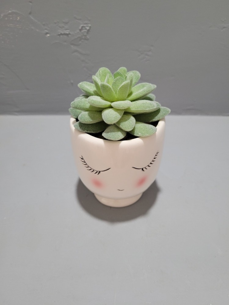 Blushing Ceramic Planter Plant Artificial Faux Succulent work office dorm school