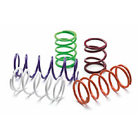 EPI BCS26 ERLANDSON CLUTCH SPRING DARKGREEN