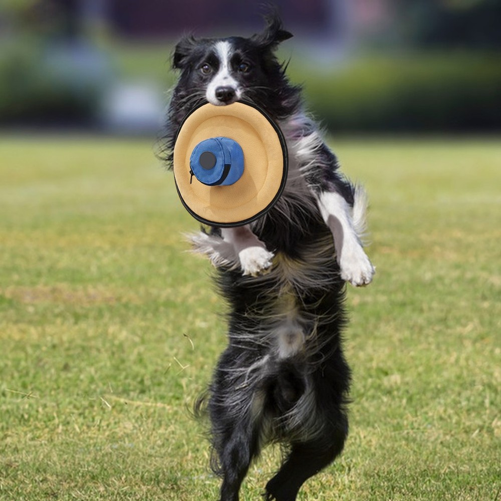 Flying Disc, Interactive Flyer Toy, Feedable Lightweight Catch and Fetch Toy