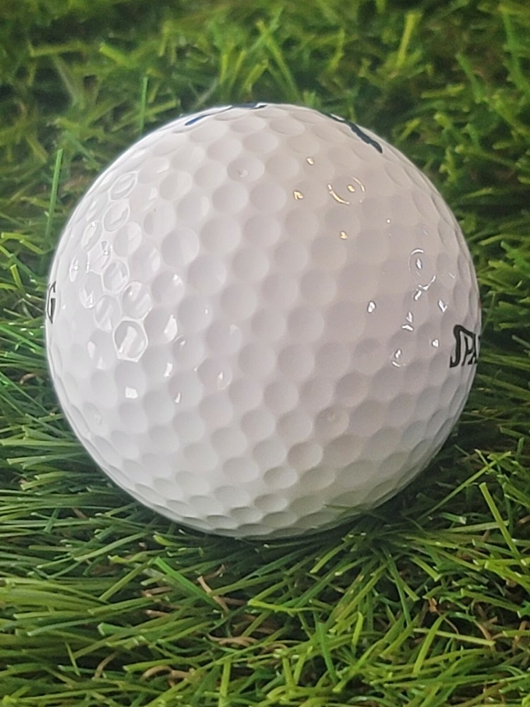 Spalding Alaska Logo Golf Ball 4A