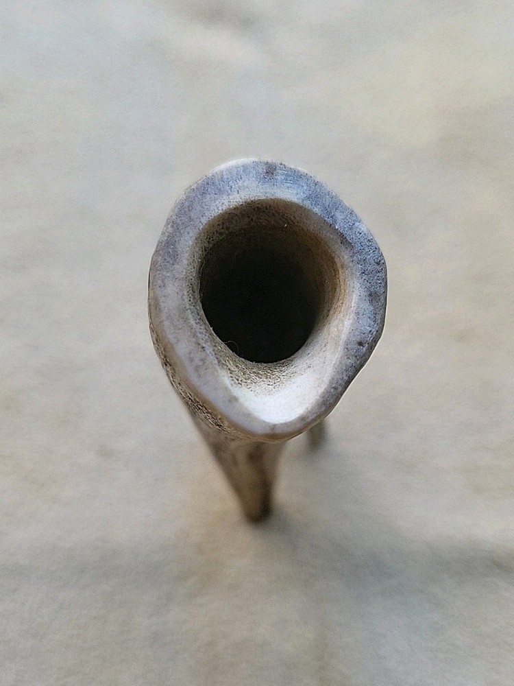 Black Powder Measure Deer Antler 30 grain muzzleloader