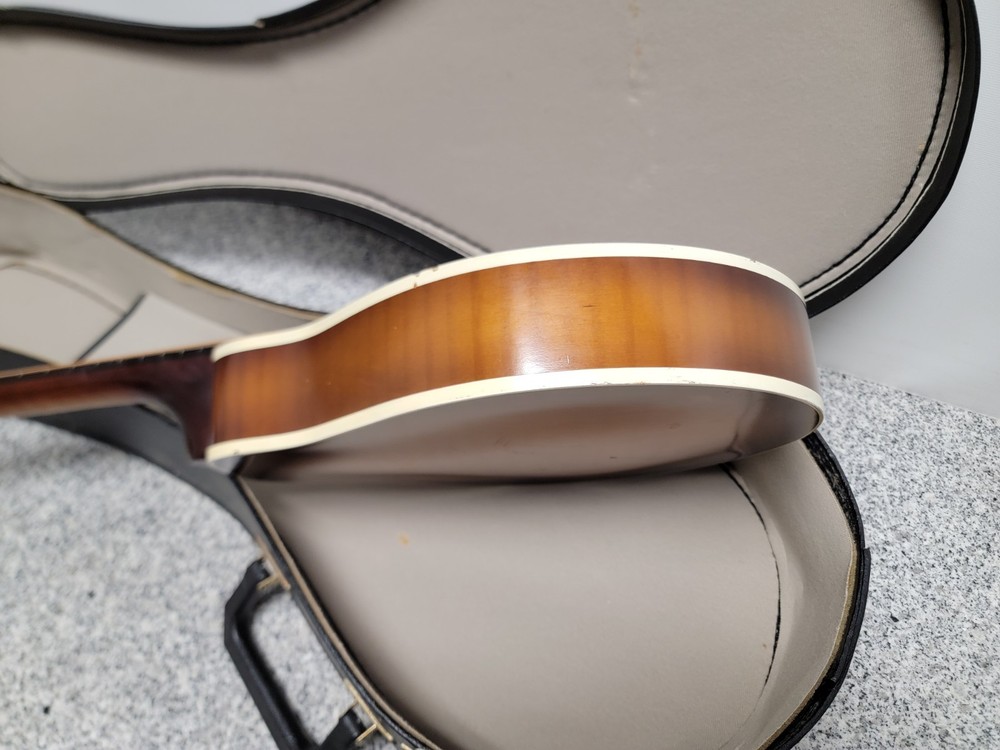 Vintage Kay Mandolin 8-String(Missing One) N7?