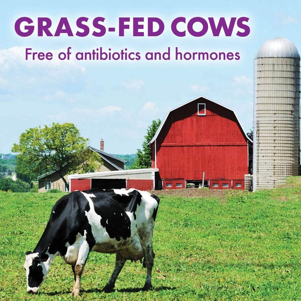 Bluebonnet Whey Protein Isolate Powder Original 2.2 lbs