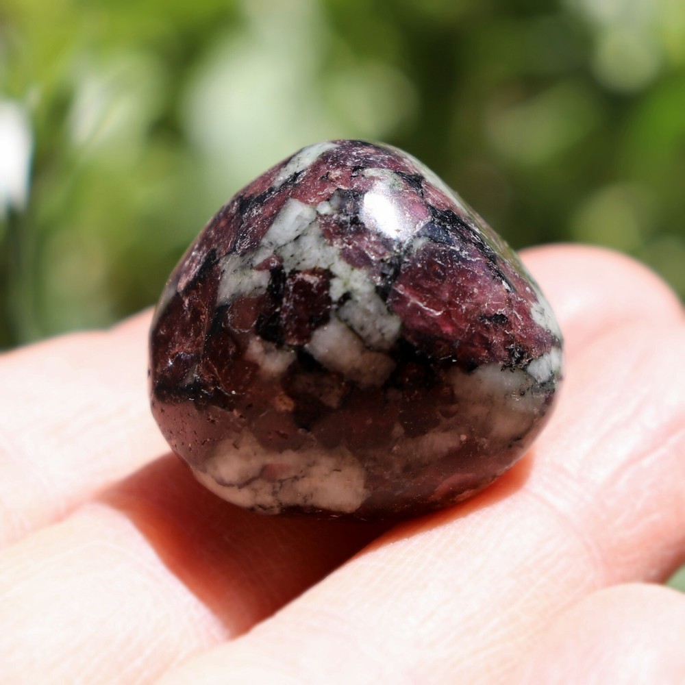 Polished Eudialyte, Fluorescent Mineral (EUD21)
